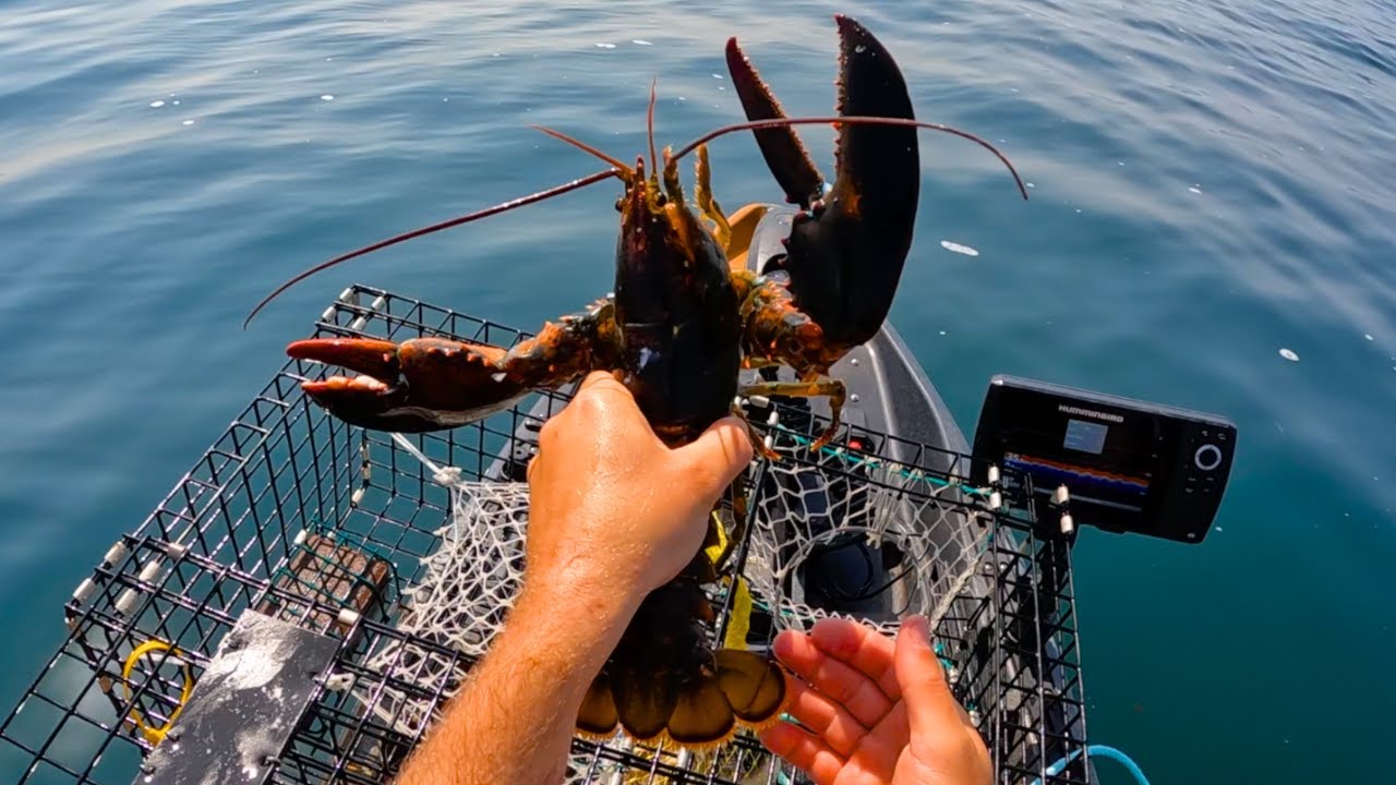 Successfully Harvesting Lobsters From My Kayak!