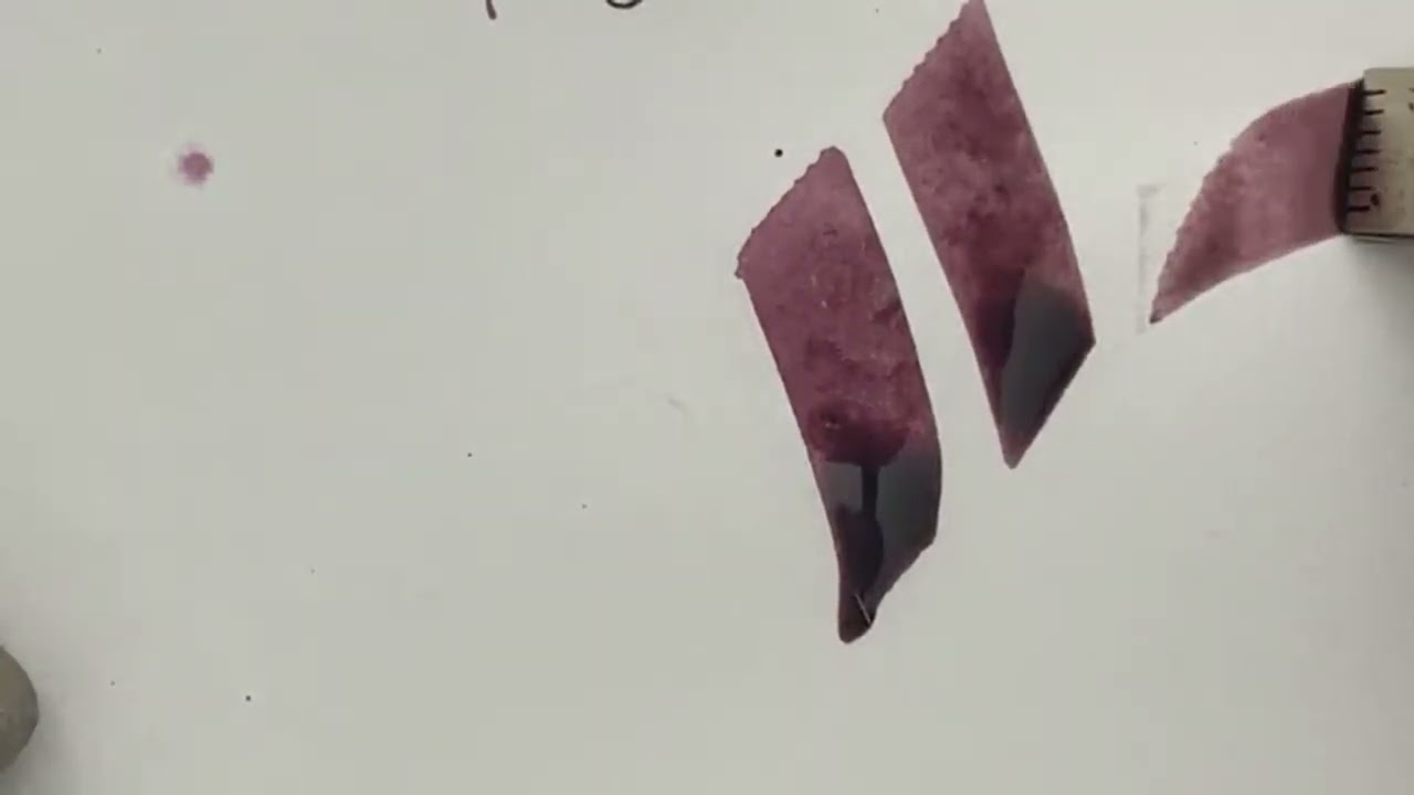 Tintenfuchs testet: Diamine Shimmer Ink für die Kalligraphie