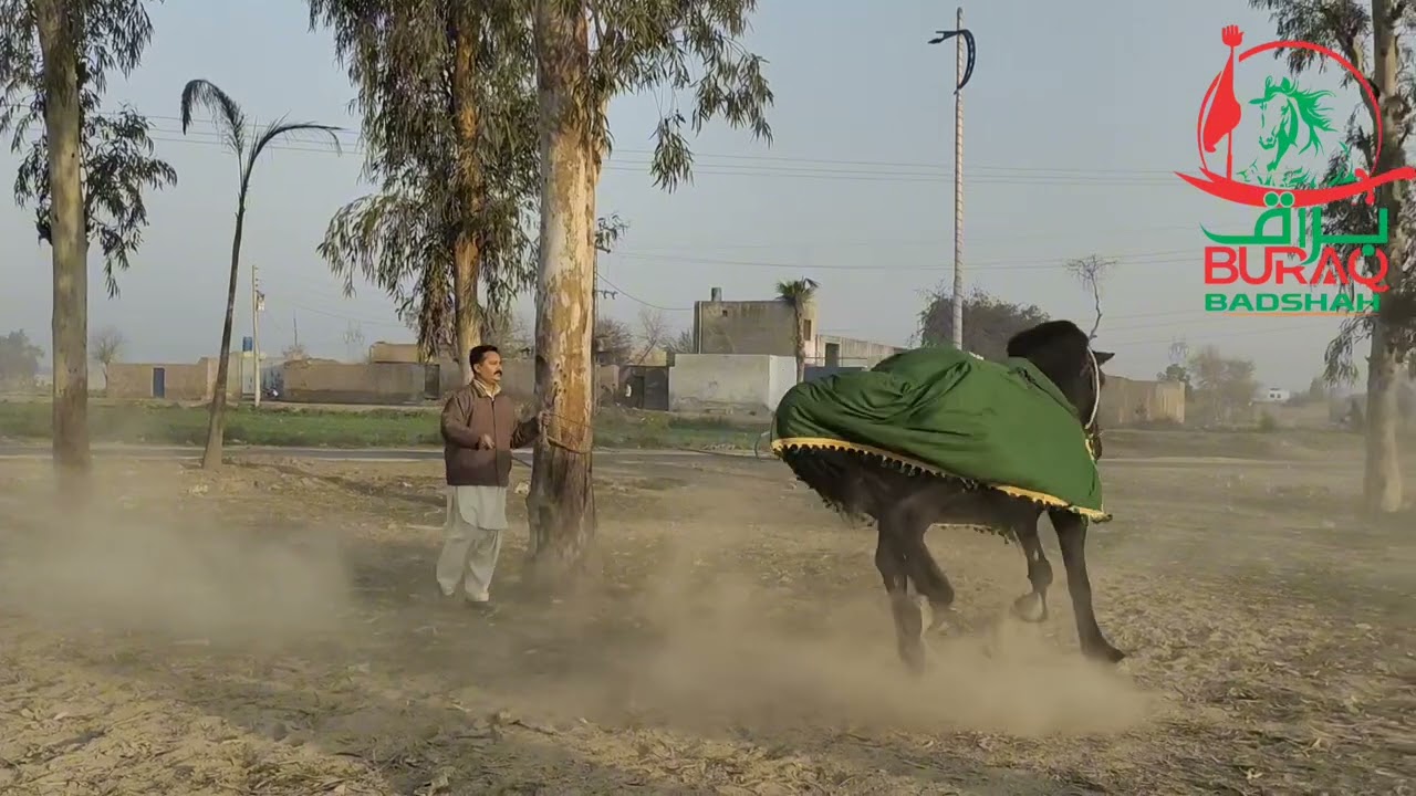 Masti during Exercise