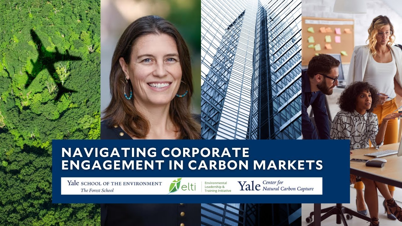 New Online Course: Yale&rsquo;s Navigating Corporate Engagement in Carbon Markets