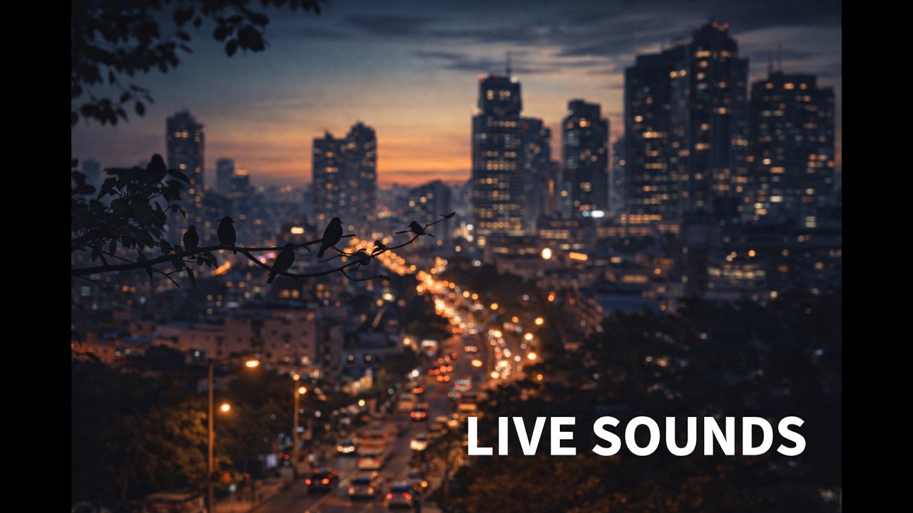 Manila Evening Ambience 🌆 | Live City Sounds & Birds (No Music)