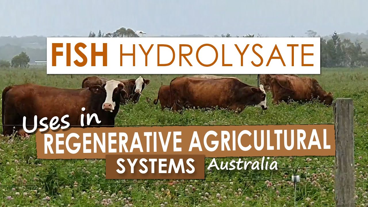 Fish Hydrolysate Uses in Regenerative Agriculture, Australia