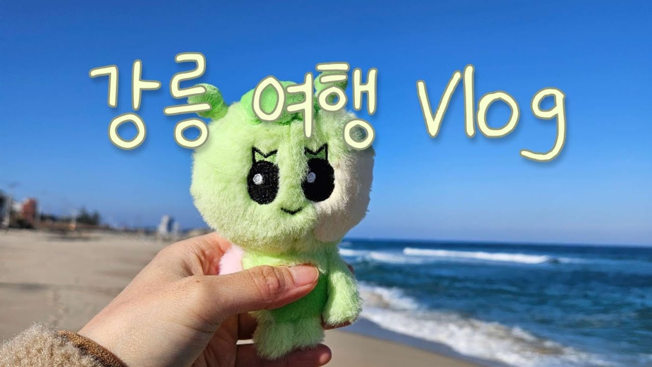 [Vlog] 휴일로그🌊🌊 | 강릉 1박 2일 | 강릉 여행이라 쓰고 푸파 여행이라 읽는다