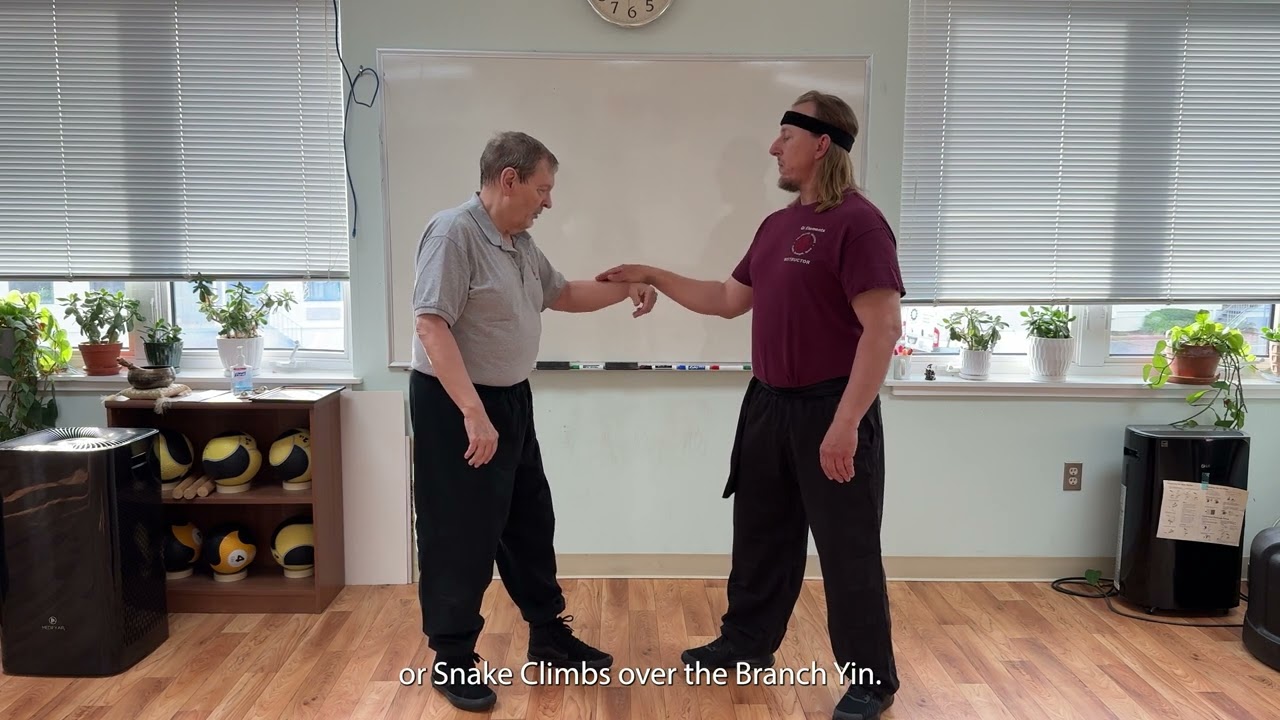 Understanding Tai Chi: Small Scale Coiling