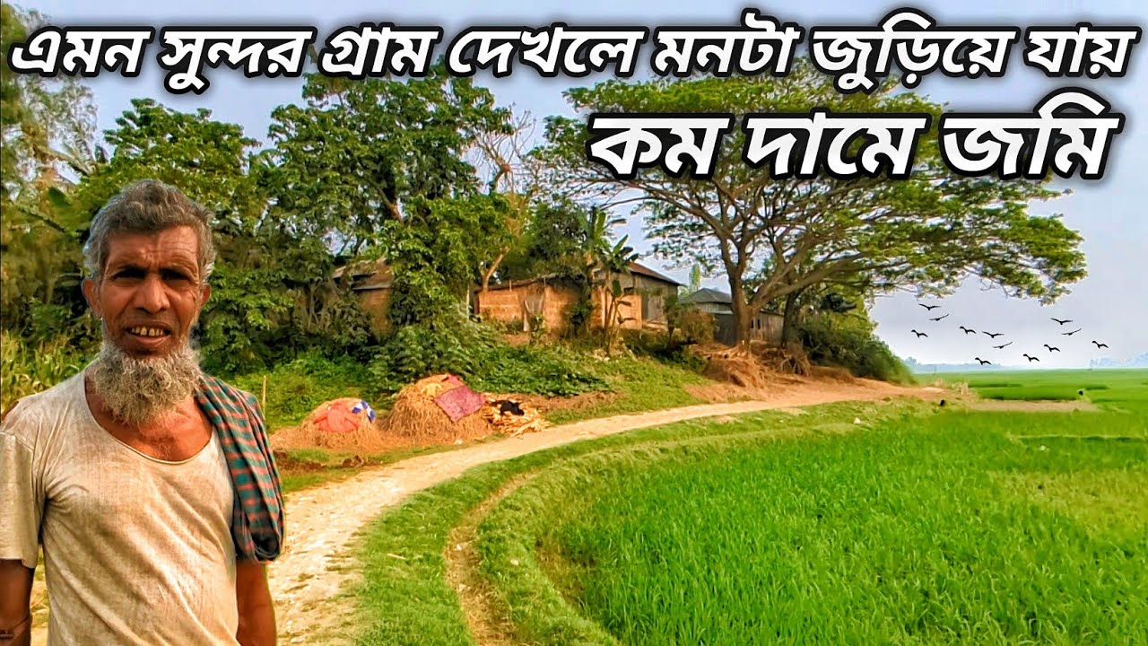 এমন সুন্দর গ্রাম দেখলে মনটা জুড়িয়ে যায় | এই গ্রামে সস্তায় জমি কিনে ফার্ম করতে পারেন | Grammo Jibon