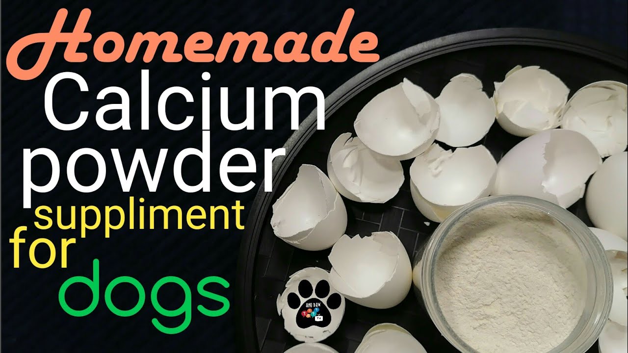 Homemade calcium powder for dogs