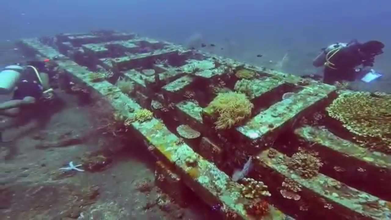 Desa Les (Les Village), Bali, Indonesia and Sea Communities