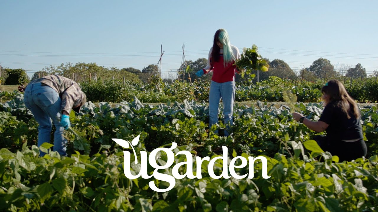 Why is the University of Georgia's UGArden unique?