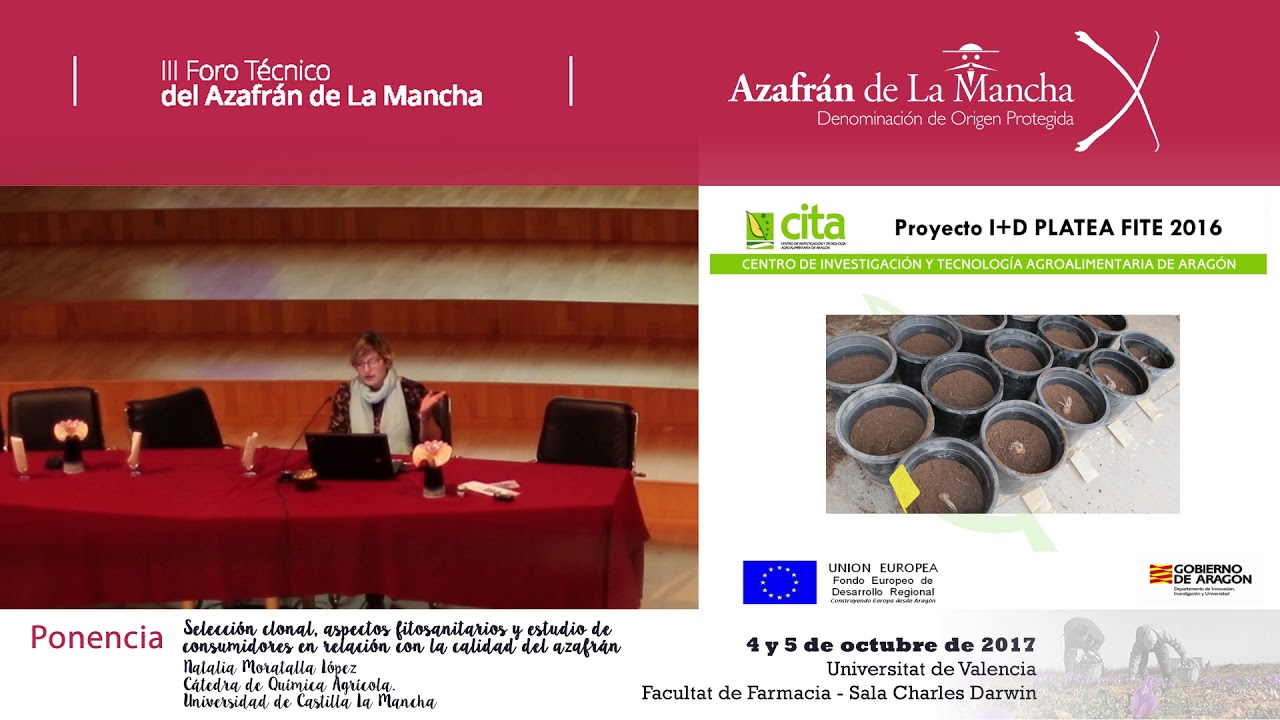Selección clonal, aspectos fitosanitarios... III Foro técnico del Azafrán de la Mancha