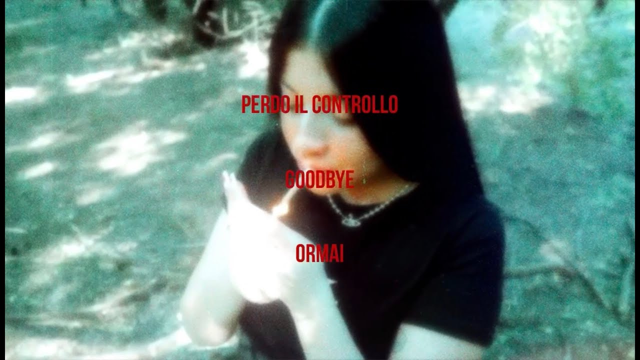 Joy Bloo - goodbye sped up ( Lyric Video)