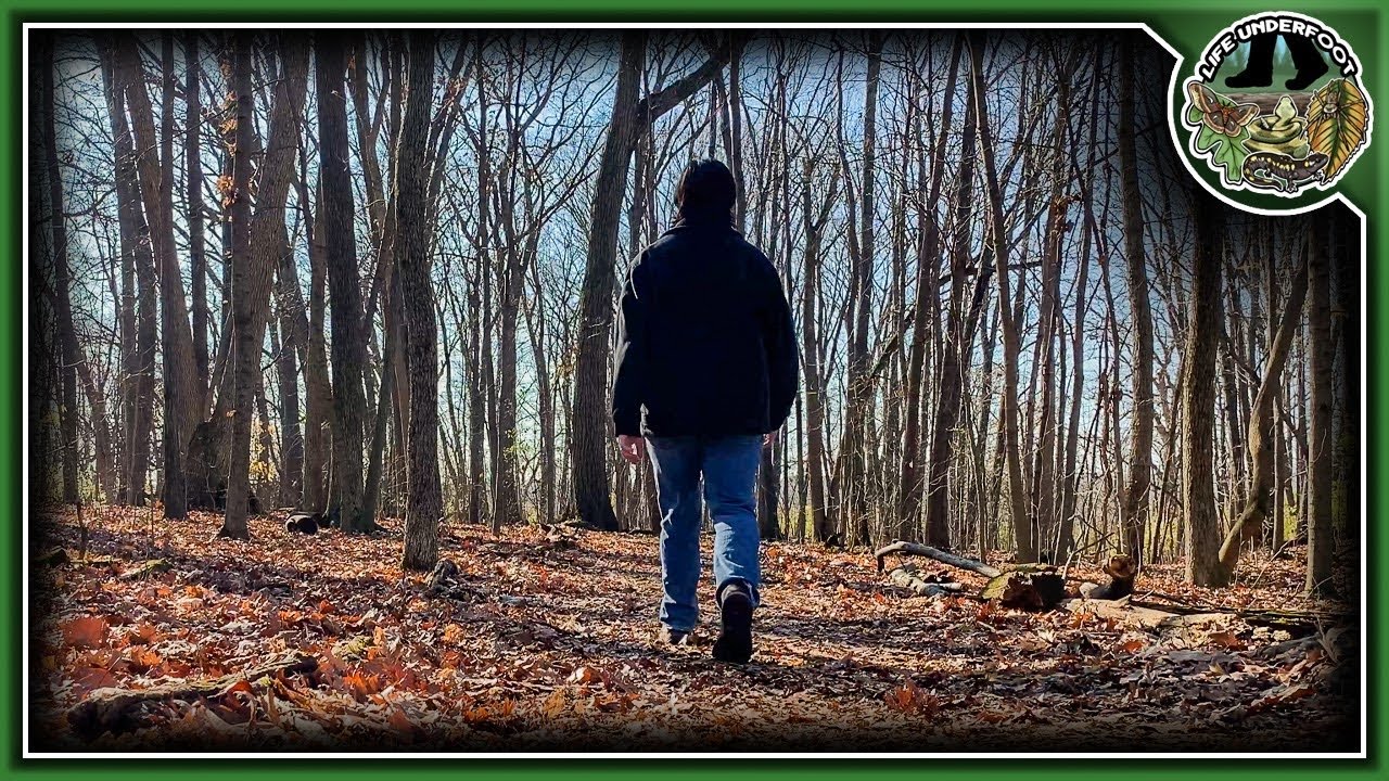 What is Wilderness?