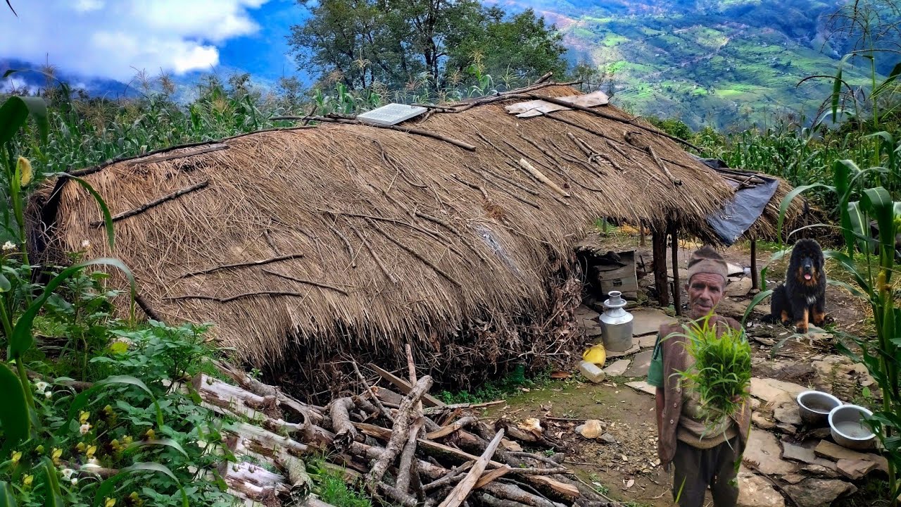 Discovering the Unspoiled Beauty of Rural Nepali Mountain Village Life living In Balance With Nature