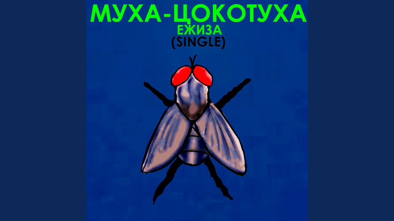 МУХА-ЦОКОТУХА (Single Ver.)