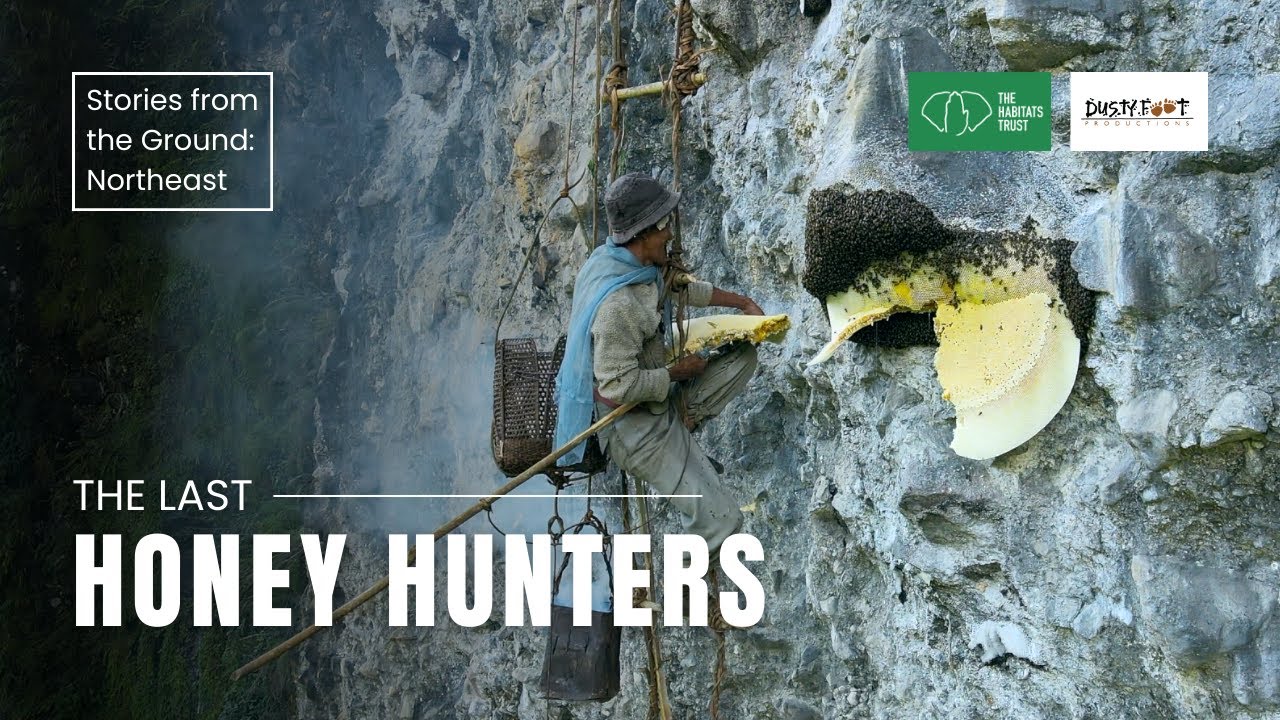 The Last Honey Hunter: Nagaland's Vanishing Cliffside Tradition | THT Films