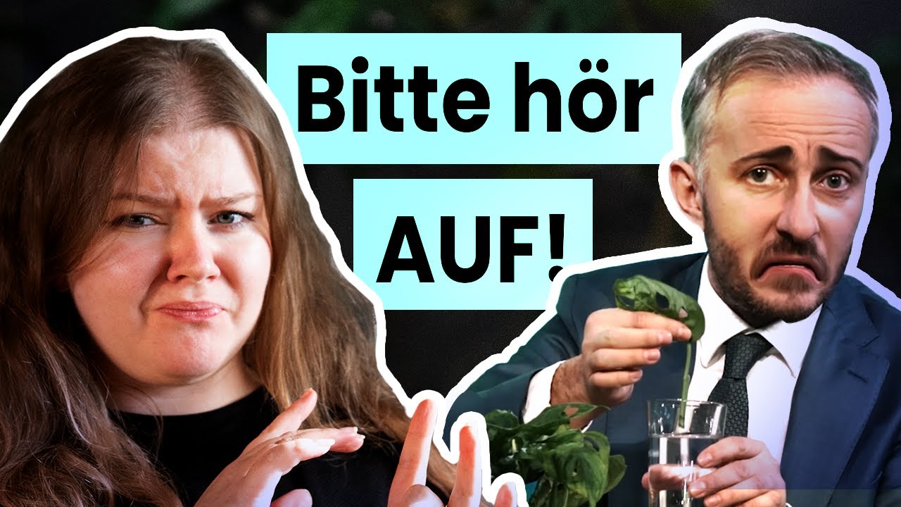 Zimmerpflanzen vermehren - der ultimative Guide! ✂️🌱