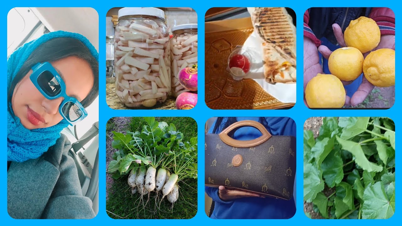 مشينا لقيشة🥰،شوفو اشنو خديت 👜👚،دويرة في جردة 🌱🌳،هاشنو كاين في جردة 🍊🍋🥦🫛🌶️🫜