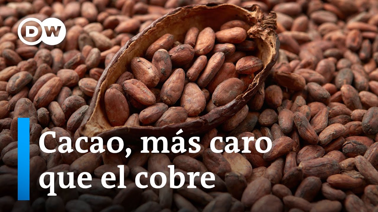 Se disparan los precios del cacao por la sequía en África Occidental