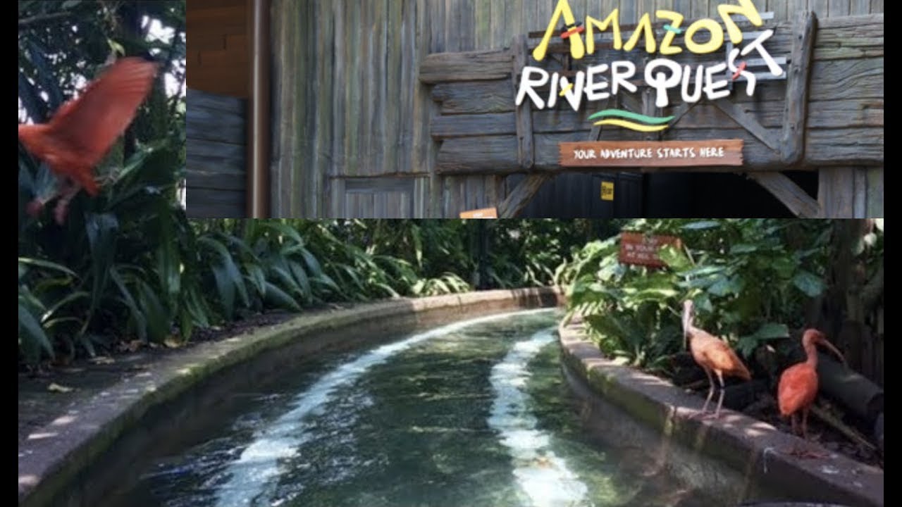 Amazon River Quest - River Safari in Singapore