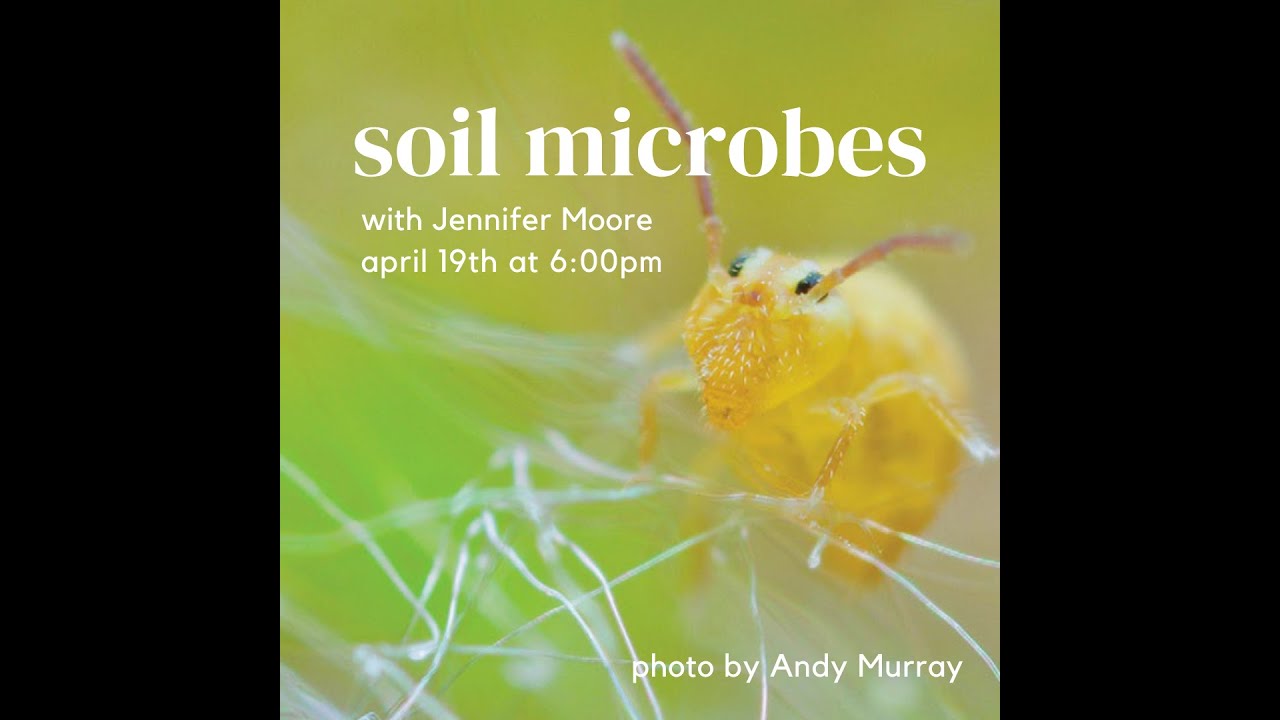 Soil Microbes