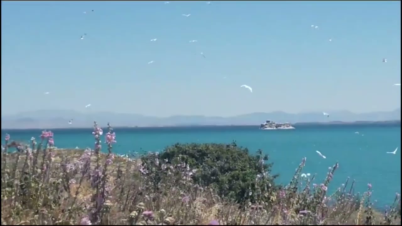 BEYŞEHİR GÖLÜ (EŞEK  - TAVŞAN ) ADASI 1. Bölüm