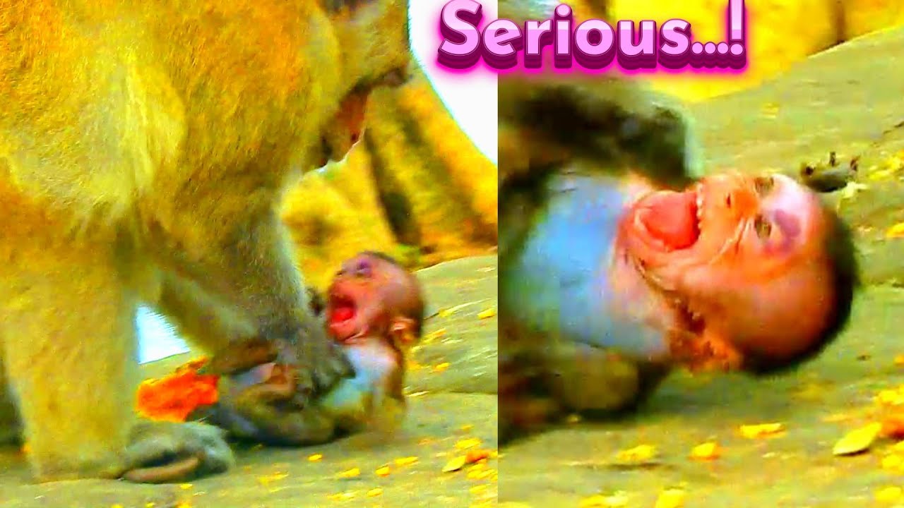 A Tinny B_aby Will D_ied Immedaitely Cos Daddy Is Really Unhappy...! Best Scene Clip One Month...!