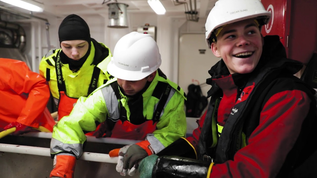 Meløy videregående skole - et bredt og godt studietilbud