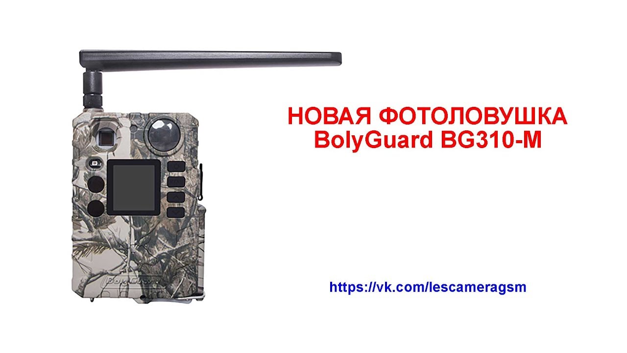 Фотоловушка Bolyguard BG310-М обзор функции.
