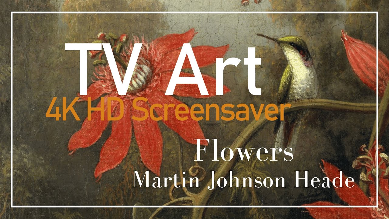 4K HD Elegant Real Art TV Screensaver: Martin Johnson Heade - Flowers - 1.43 H, No Sound, No AI