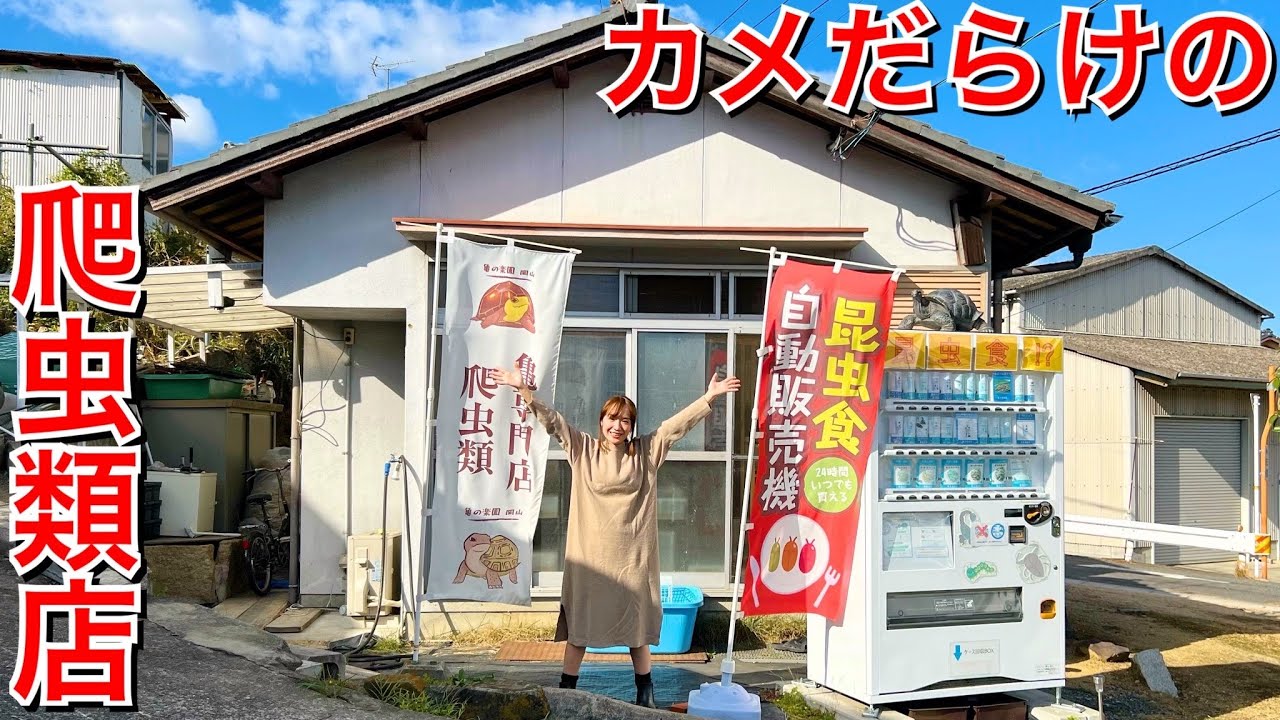 岡山県にある爬虫類ショップ『亀の楽園』のカメ繁殖施設がスゴすぎる…