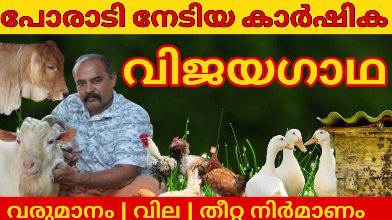 ചെറിയ സ്ഥലത്ത് വലിയ വരുമാനം | Mixed Farming Malayalam | Farming Malayalam by Dinesh | BV 380 | GOAT