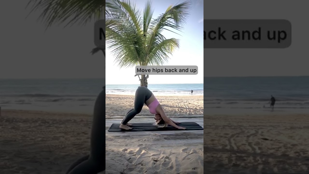 Correct alignment in downward facing dog      #downwardfacingdog#yogadailypractice#yoga