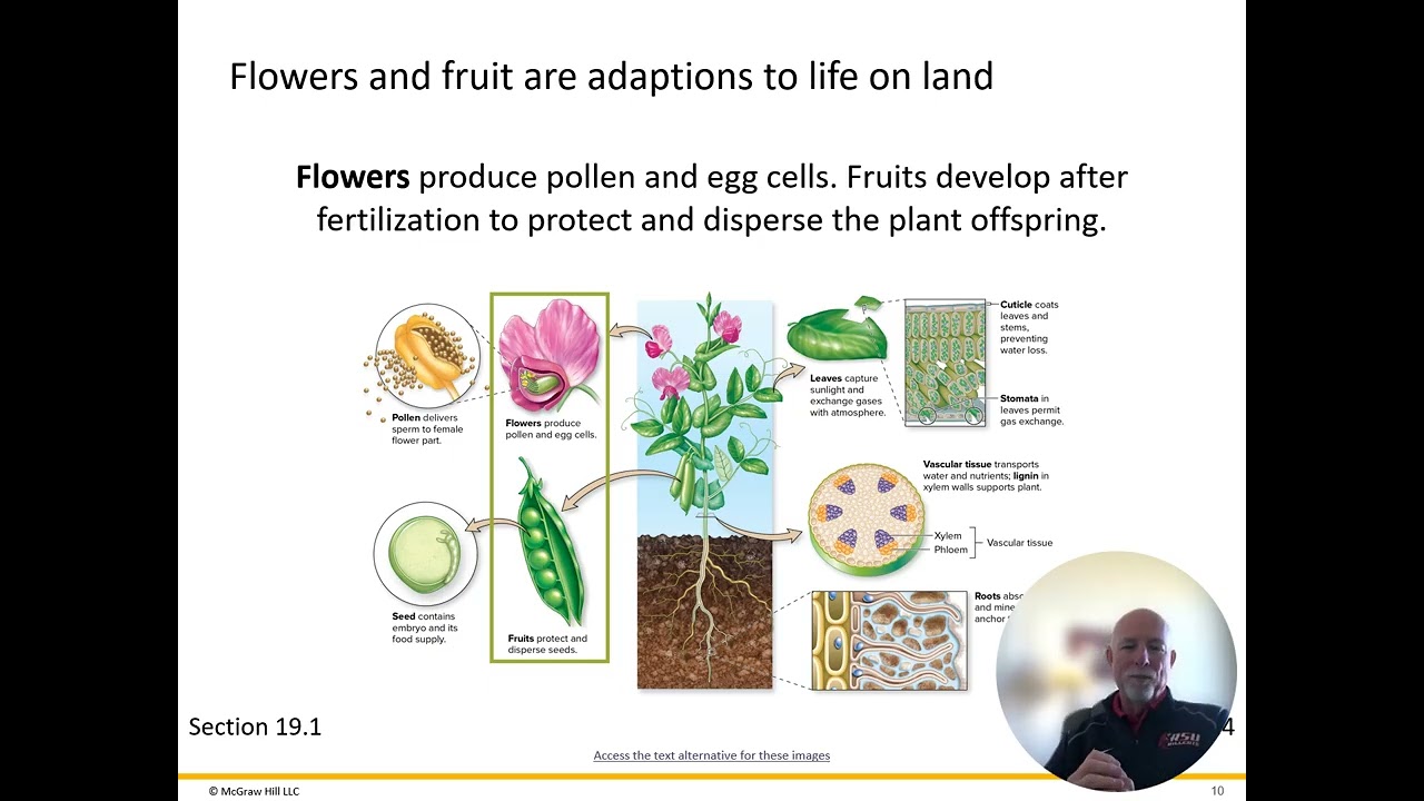 kmartin BIOL 1114 Chapter 19