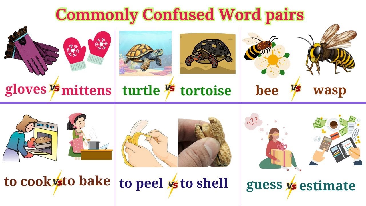 Lesson 202: Similar Words, Different Meanings! Learn to Use Them in your speech Correctly