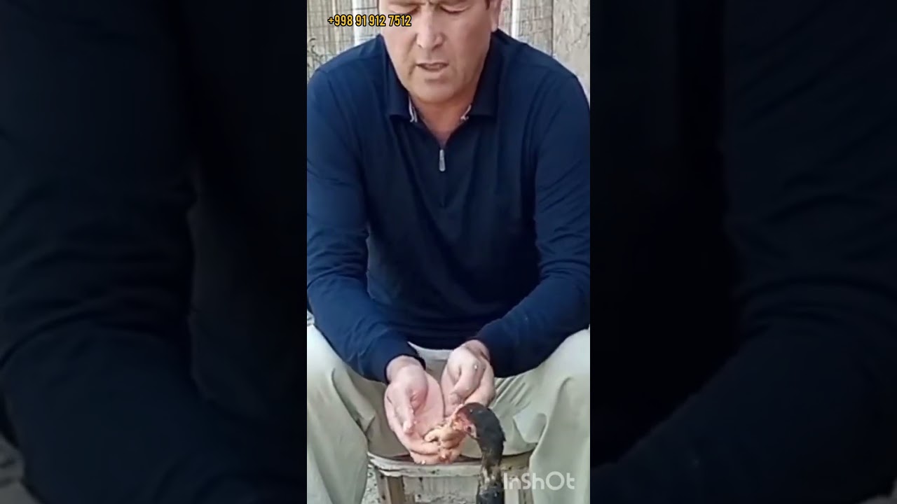 ТЕЛЕФОН СУ́ЗЛАШУВ 14-КСИМ 