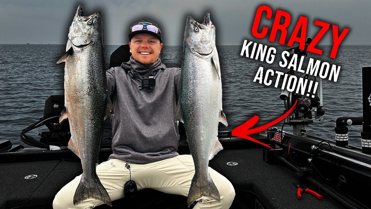 QUICK Limit of King Salmon on Lake Michigan! (Doubles and Triples!!)