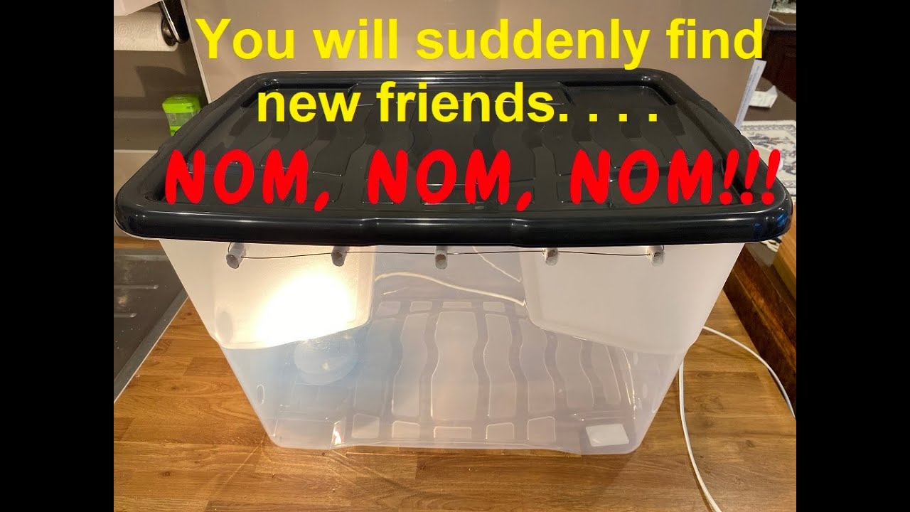 Making a Biltong Dryer Box - Simple and full instructions
