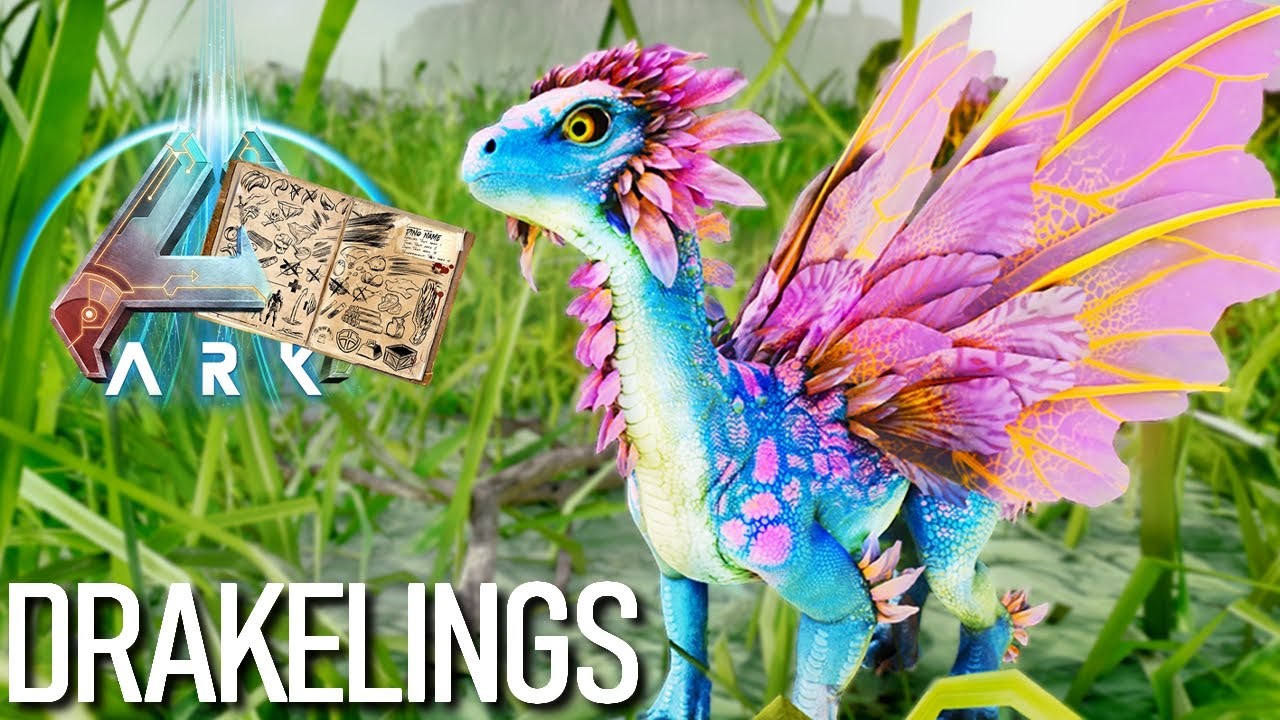 DRAKELINGS - TAMING/CAPACIT&Eacute;S/COMMANDE [Dino Dossier ASA 📖]