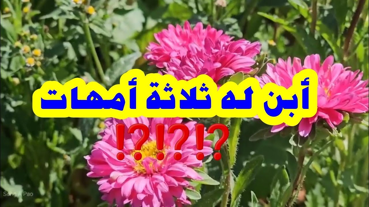 👨 أبن له ثلاثة أمهات 👩👩👩 ⁉️⁉️⁉️