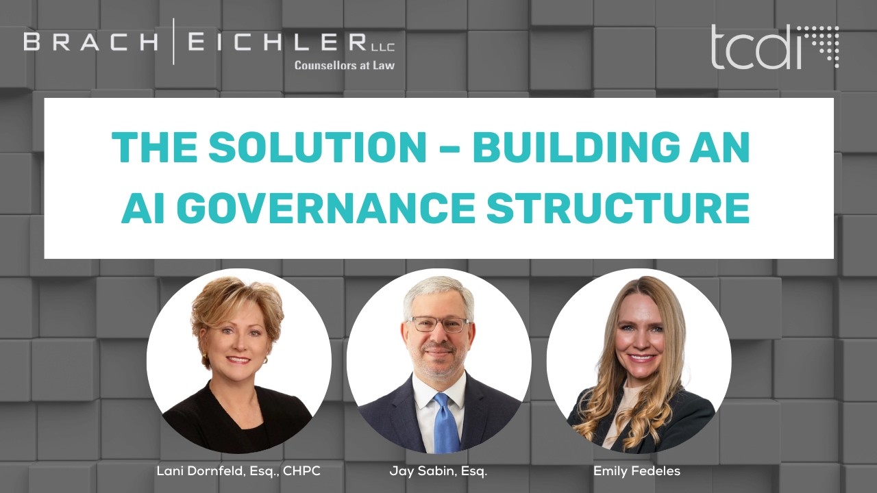 The Solution: Building an AI Governance Structure - Part 2 of 3