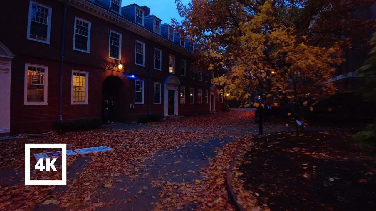 4K | Cozy Evening in the Fall at Harvard | ASMR City Sounds