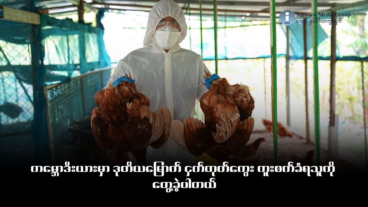 ကမ္ဘောဒီးယားမှာ ဒုတိယမြောက် ငှက်တုတ်ကွေး ကူးစက်ခံရသူကို တွေ့ခဲ့ပါတယ်
