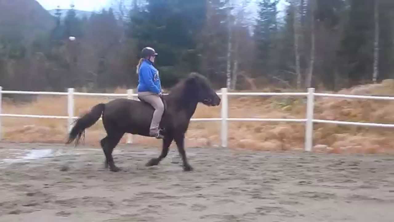 Ridebanen Bykle.Fr&oslash;ya og Maren