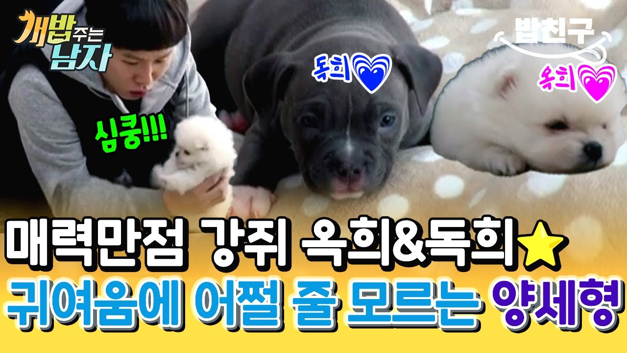 [#밥친구] 귀요미 강쥐 🐶 오키&도키와 첫 만남! 한 눈에 반해버린 💘 양세형&양세찬 형제 | 개밥 주는 남자 시즌1 18회