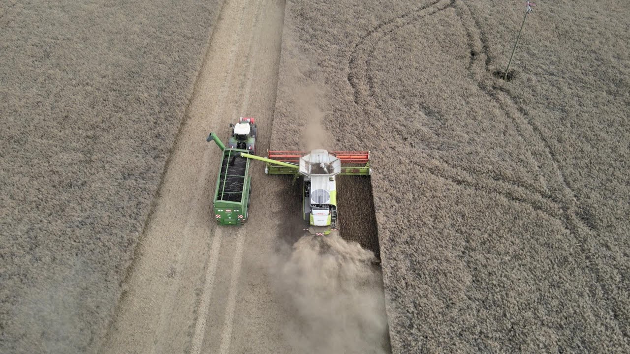 Rapsernte  in Tröchtelborn, Thüringen #dji #drone