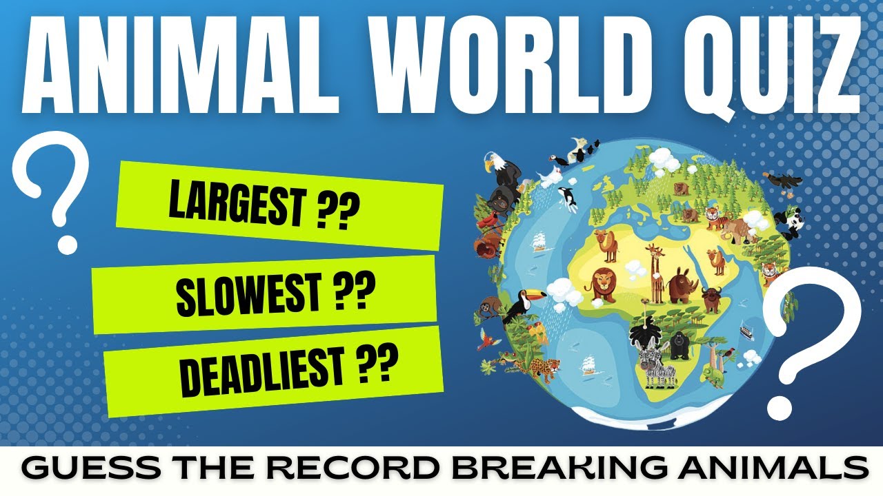 15 Incredible Record Breaking Animals You Might Not Know About | 15 Amazing Animal Records