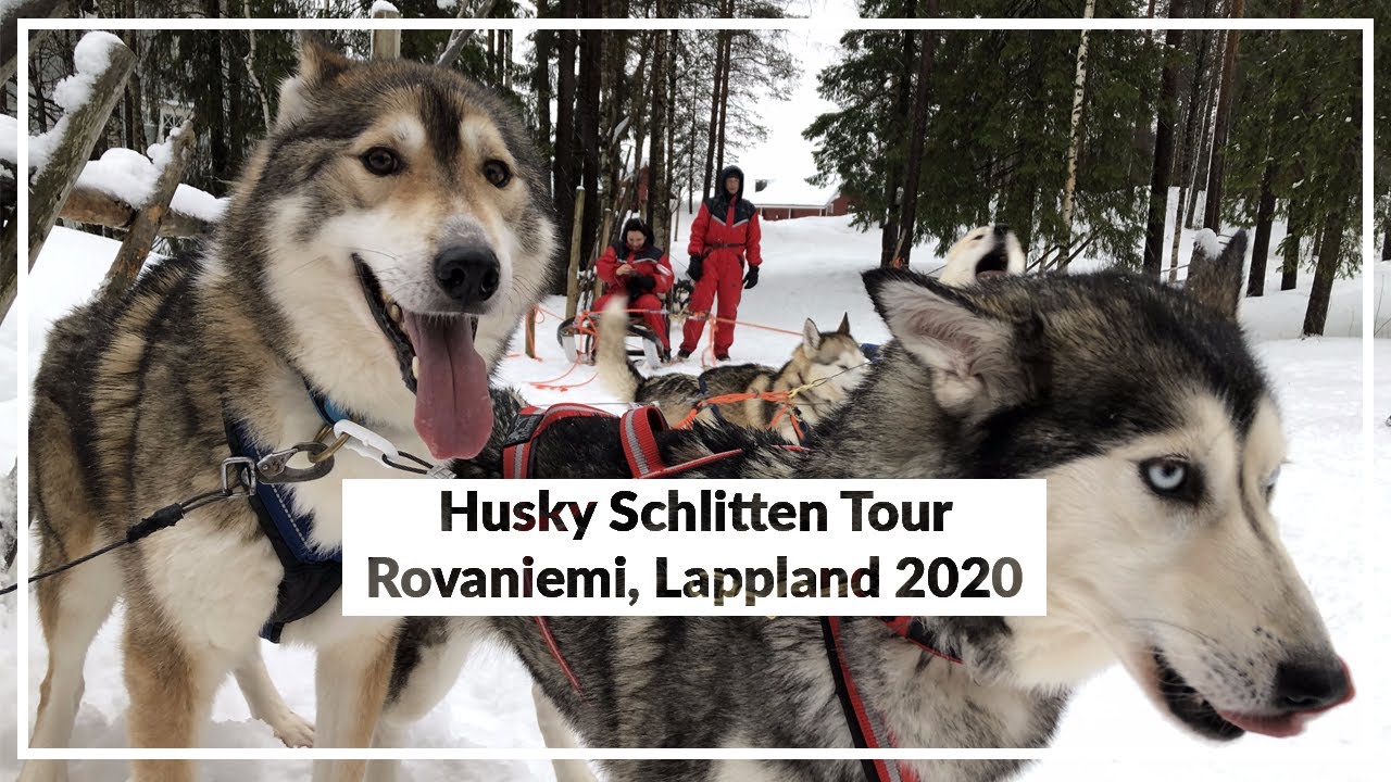 Lappland Husky Schlitten Tour - McMafiosi