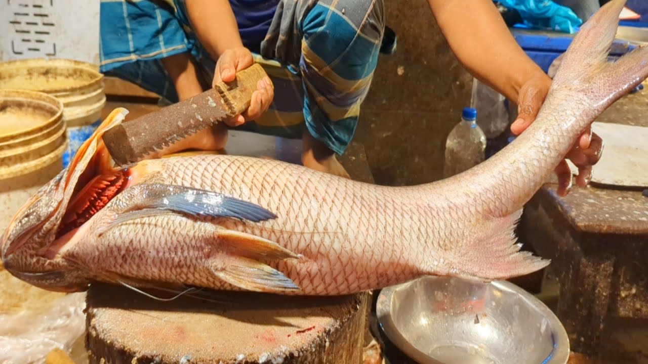 Delicious Indian Salmon Fish Cutting & Chopping In Bangladesh Fish Market