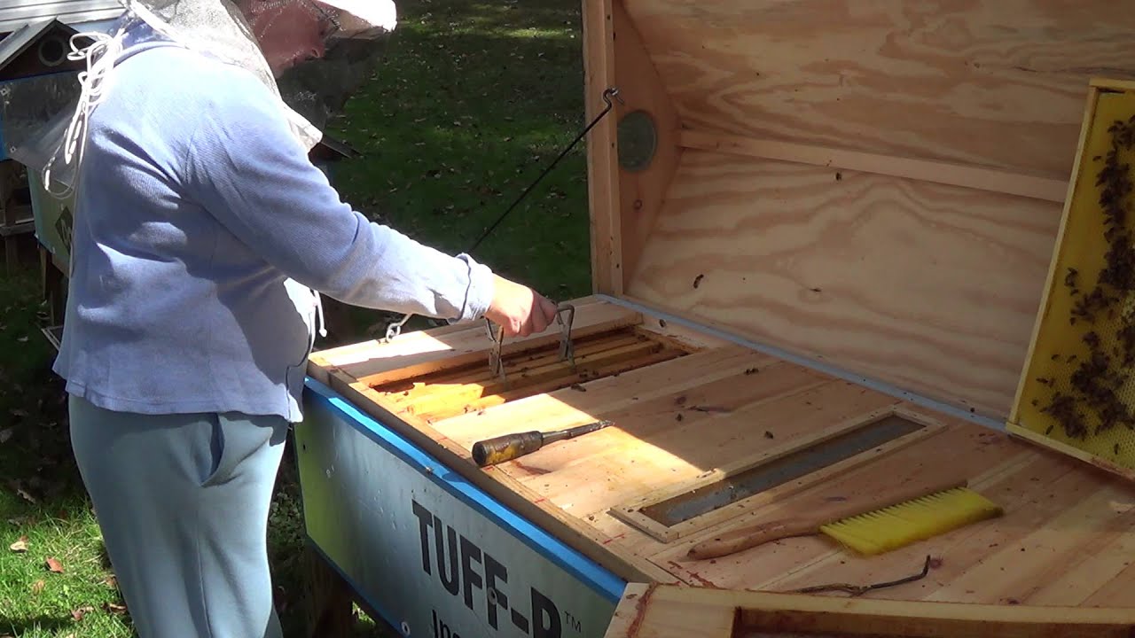 Inspection of Modified European Long Hive  - Full HD