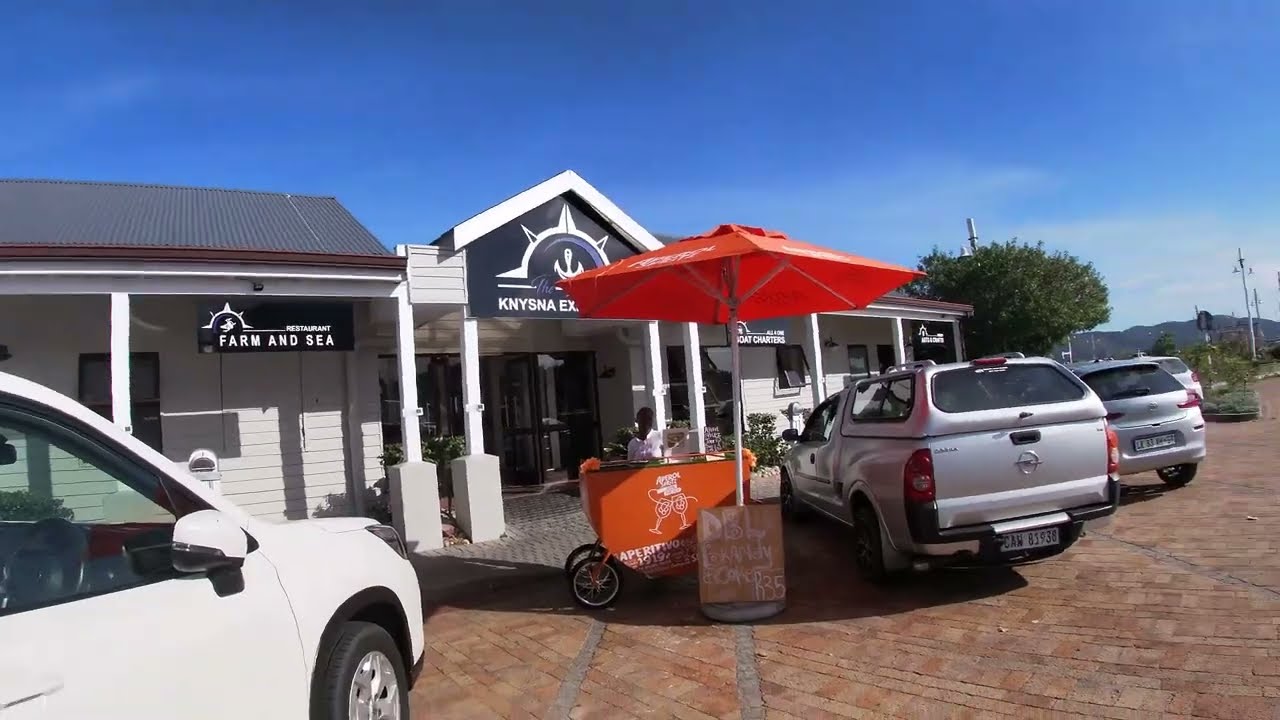THINGS TO DO IN THESEN ISLAND #gardenroute #southafrica