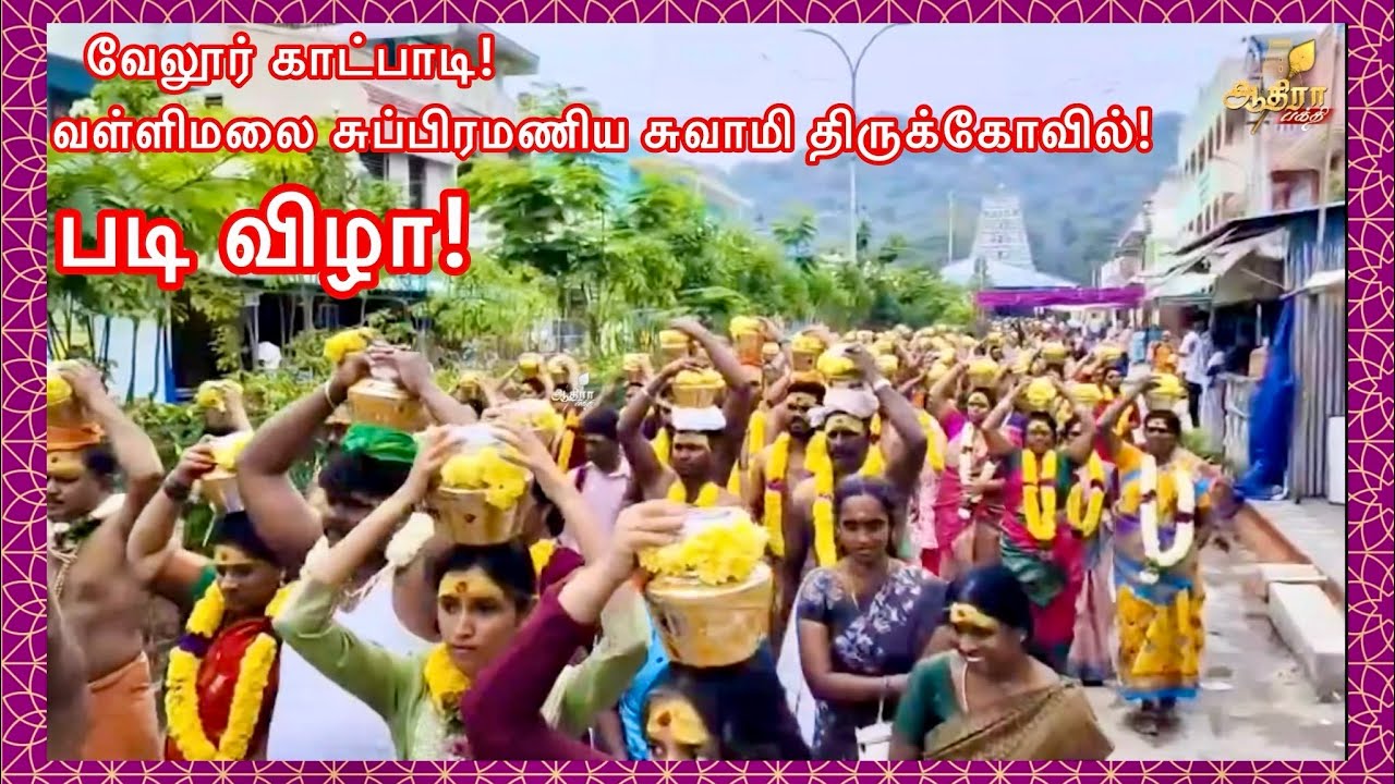 வேலூர் காட்பாடி  வள்ளிமலை சுப்பிரமணிய சுவாமி திருக்கோவில் படி விழா!
